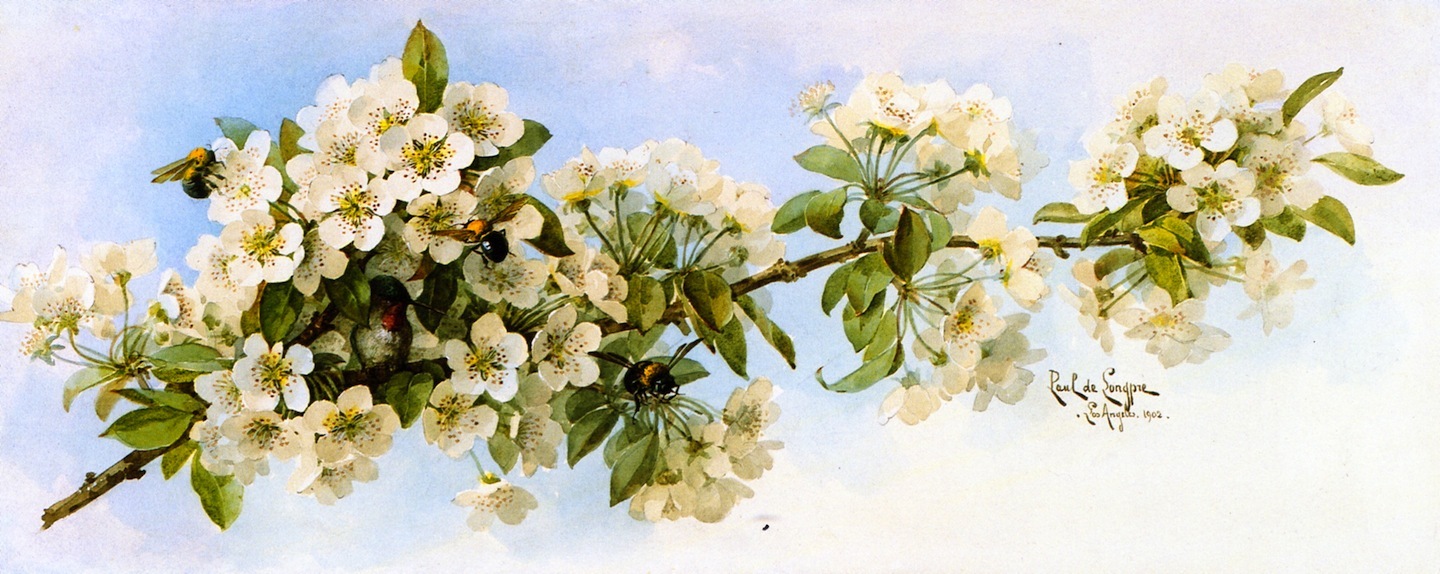 Apple Blossom Painting At Explore Collection Of