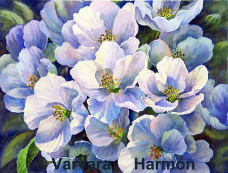 450x341 Apple Blossom, Watercolor Painting By Varvara Harmon - Apple Blossom Painting