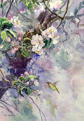 279x400 Hummingbird And Apple Blossom Paintings R. Michelson Galleries - Apple Blossom Painting