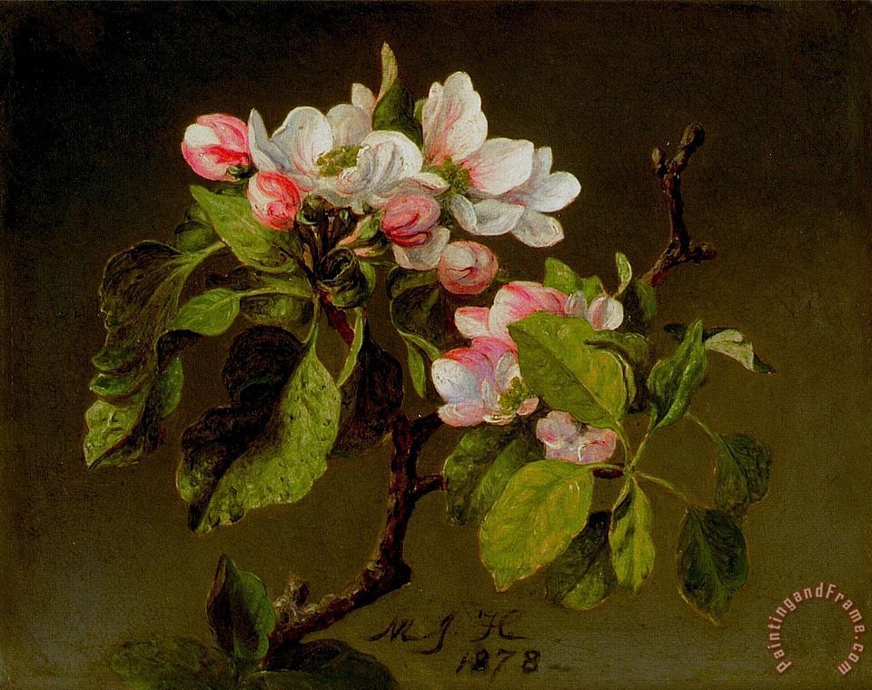 960x760 Martin Johnson Heade A Branch Of Apple Blossoms And Buds Painting - Apple Blossom Painting