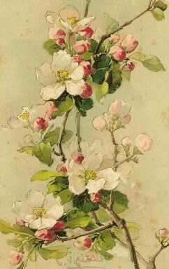 242x384 Pin By Nicoletta Carlone On Fallwinter 2016 Inspiration - Apple Blossom Painting
