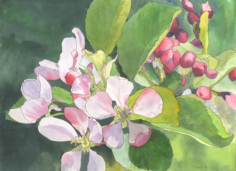 770x557 Saatchi Art Apple Blossom 2 Painting By Phil Davis - Apple Blossom Painting