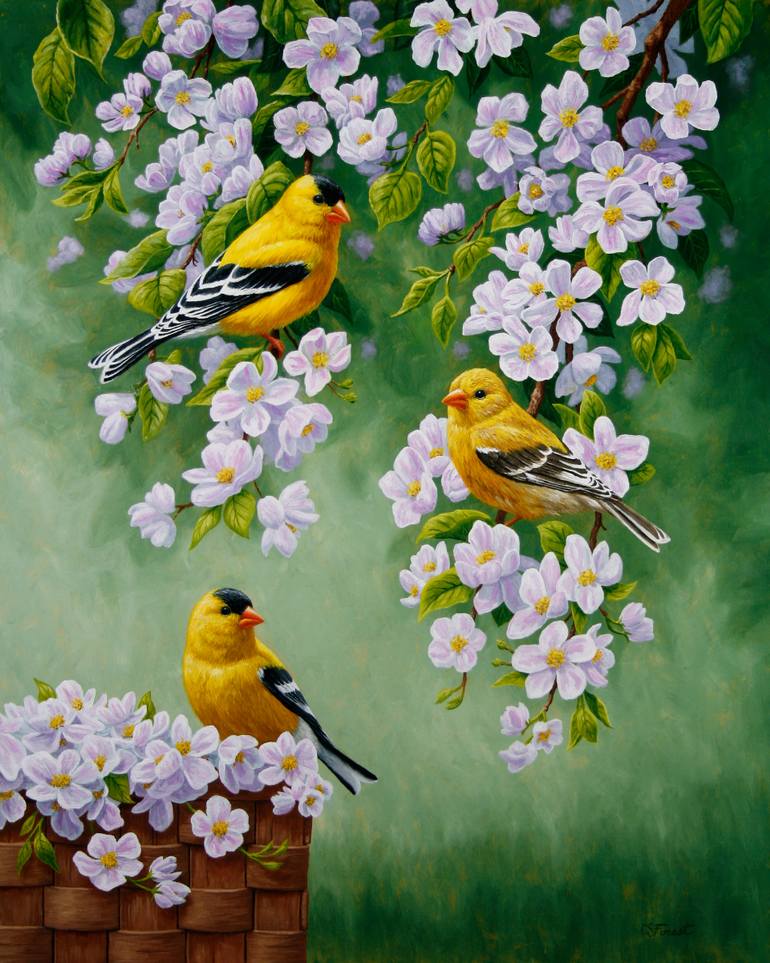 770x963 Saatchi Art Goldfinches Amp Apple Blossoms Painting By Crista Forest - Apple Blossom Painting