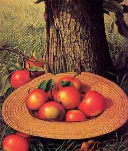 254x300 Oil Painting Hand Painted Still Life Apples Hat Amp Tree Under - Apple Hat Painting