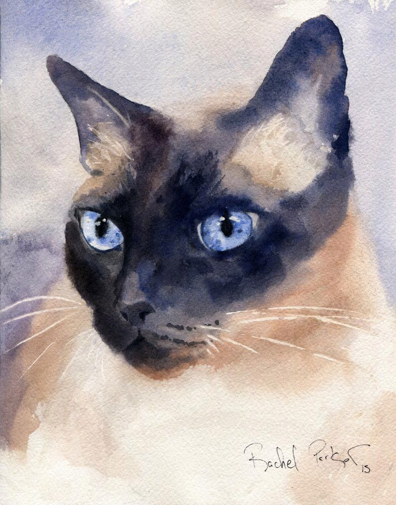 785x1000 Print Applehead Siamese Cat Art Print Of A Watercolor Painting Big - Apple Head Painting