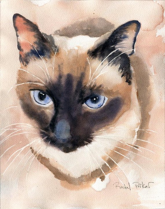 570x724 Print Applehead Siamese Cat Art Print Of A Watercolor Painting - Apple Head Painting