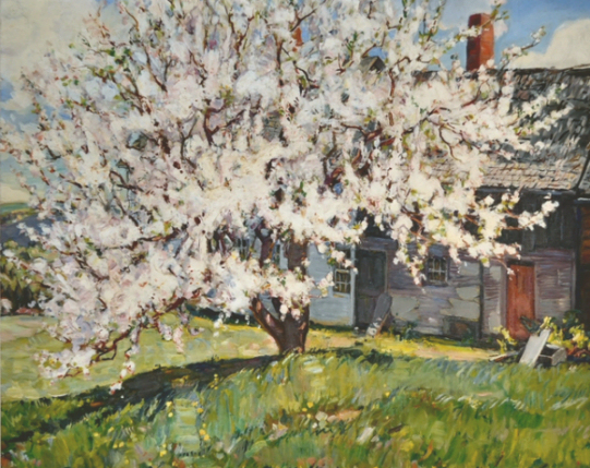 541x429 Apples, Robert Strong Woodward, Painter Of New England Scenes - Apple Head Painting