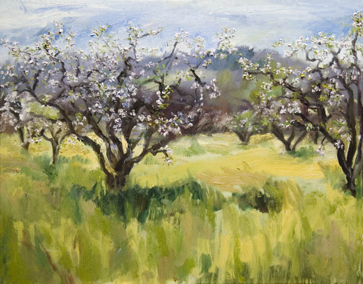 720x564 Paintings By Paula Smith - Apple Orchard Painting
