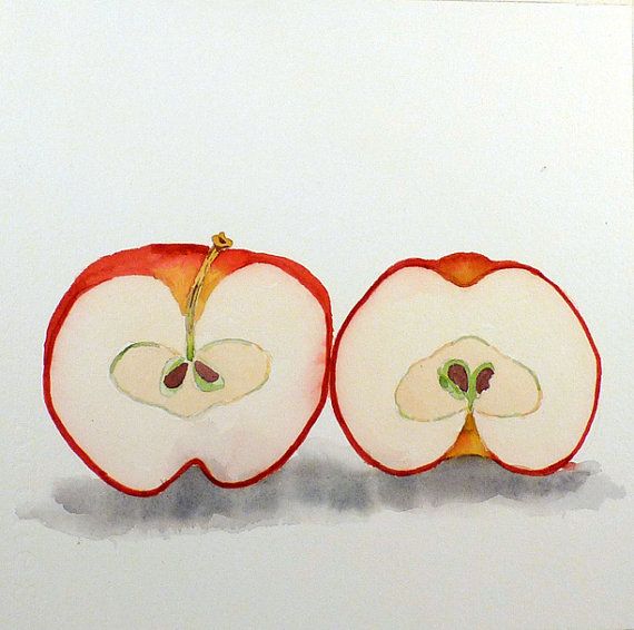 570x566 Fresh Art Prints Crisp Apple Painting Print Of A Watercolor - Apple Painting For Kids