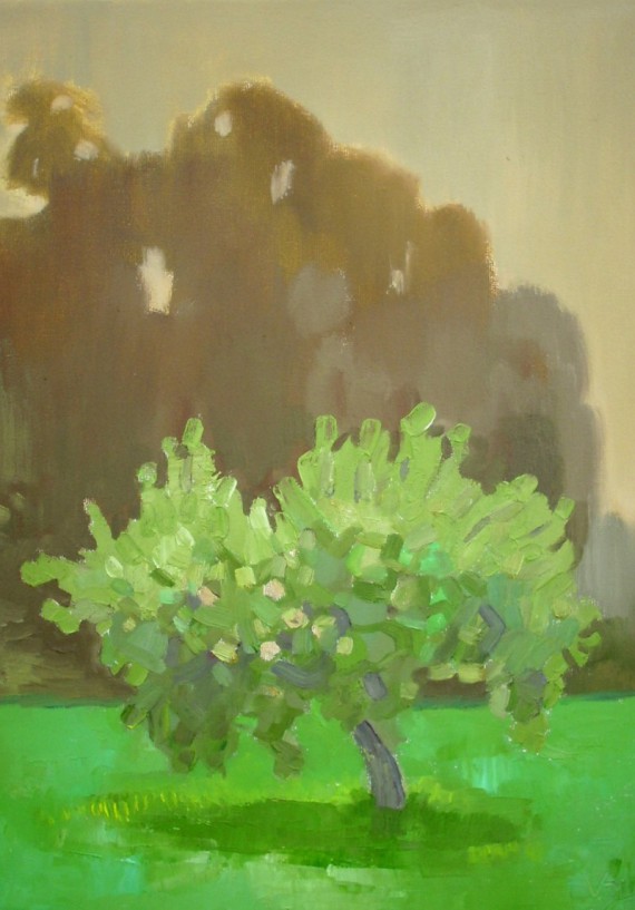 570x817 Buy Apple Tree - Apple Tree Painting