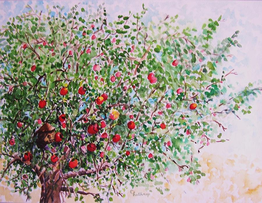 900x698 Apple Tree Painting By Christine Lathrop - Apple Tree Painting
