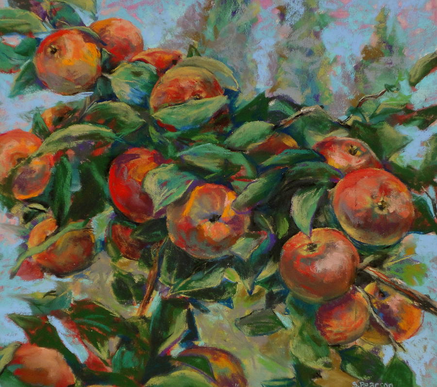 900x797 Apple Tree Painting By Sam Pearson - Apple Tree Painting