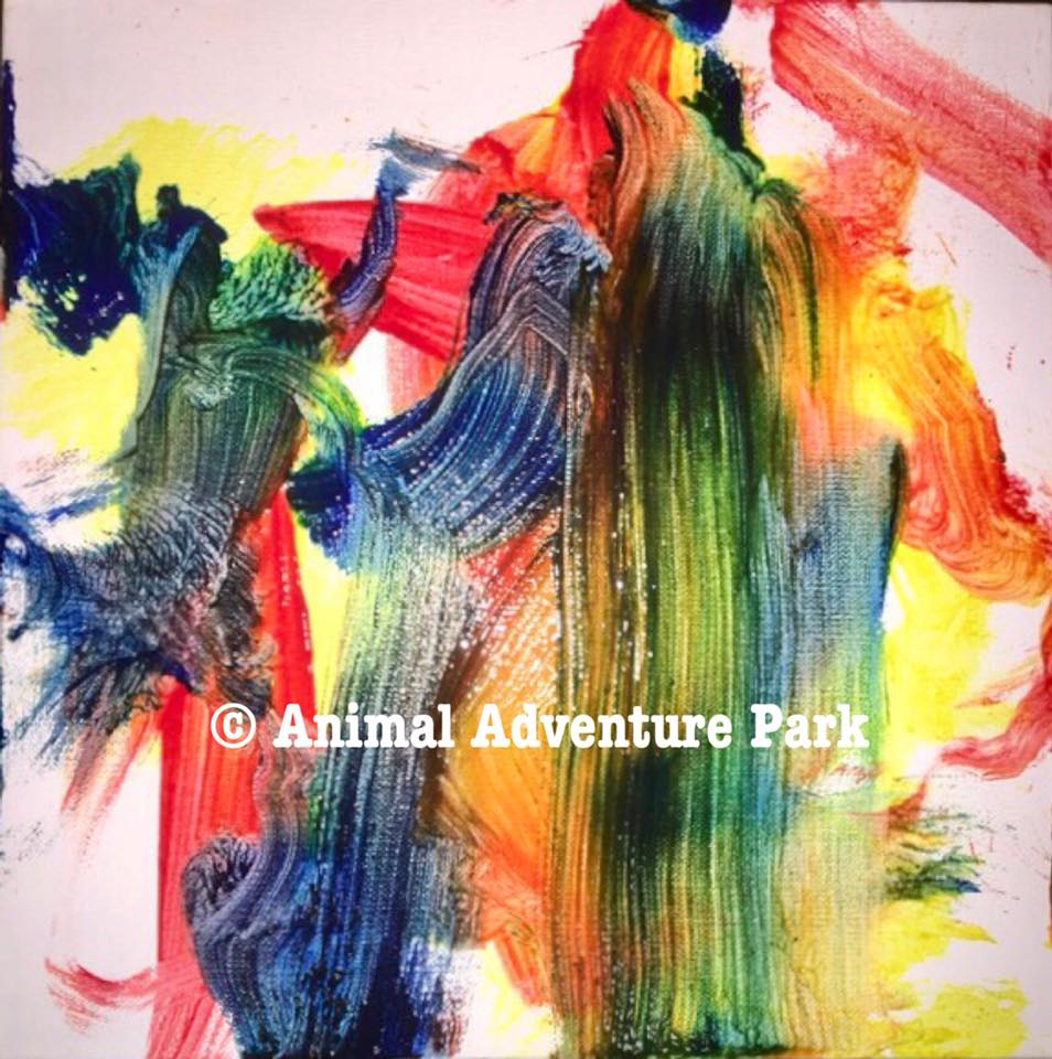 954x960 April The Giraffe Painting Auction Official Animal Adventure Park - April Painting