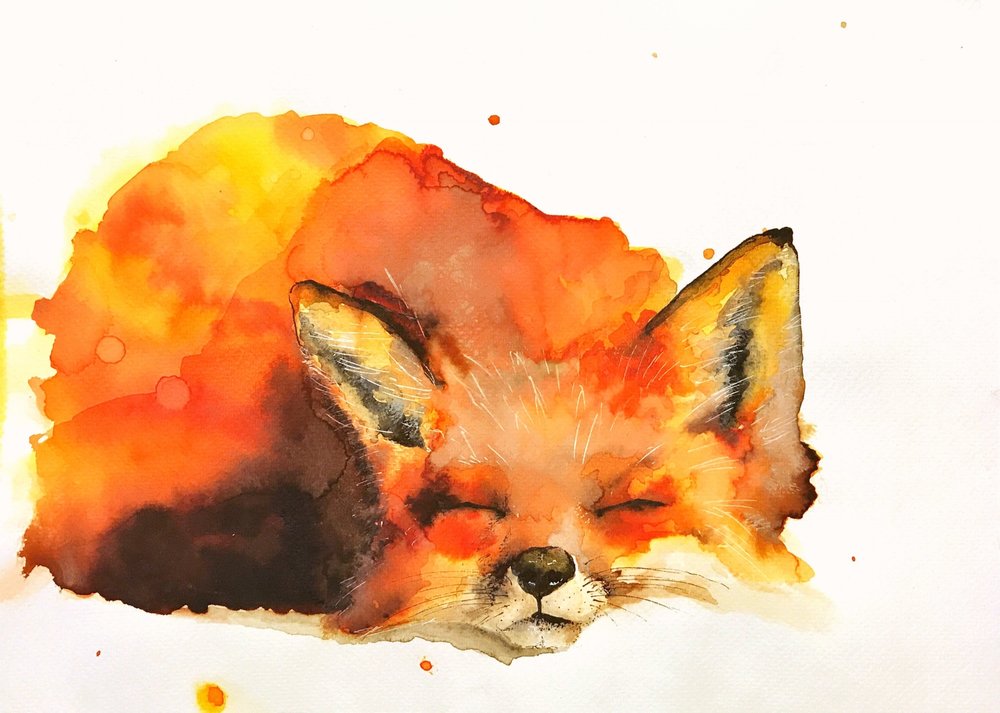 1000x713 Aquarelle Koreny - Aquarelle Painting