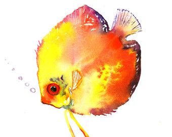 340x270 Yellow Discus Fish, Original Watercolor Painting, 8 X 10 In, Red - Aquarium Fish Painting