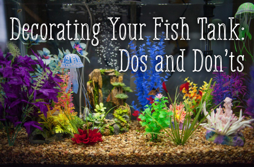 1024x672 Decorating Your Fish Tank Dos And Don'Ts Pethelpful - Aquarium Painting For Kids