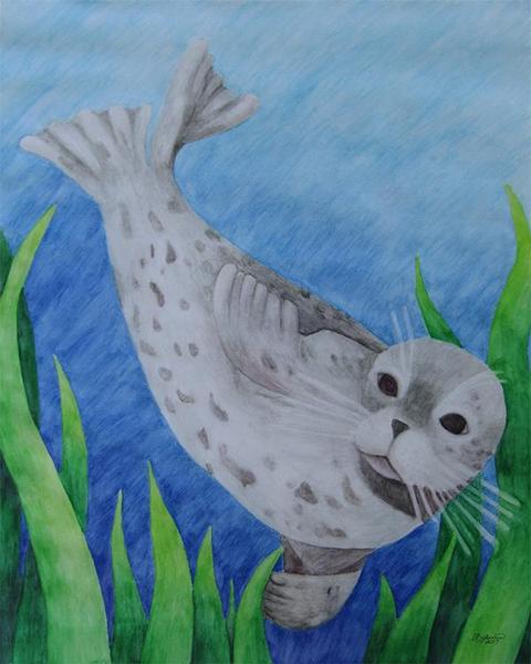 480x600 Harbor Seal - Aquatic Painting