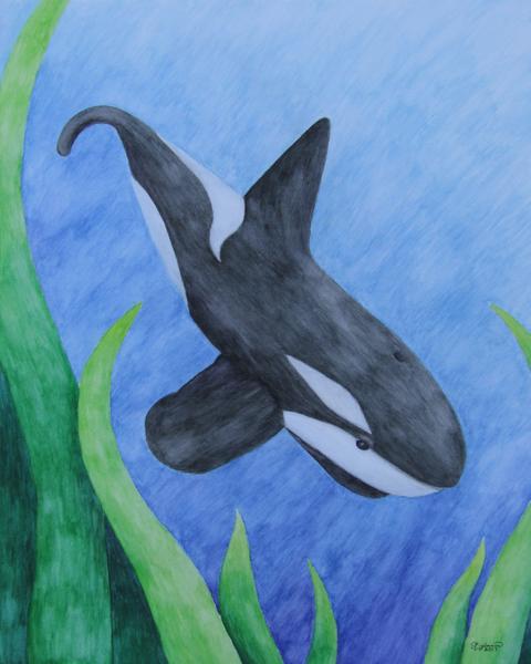 480x600 Orca - Aquatic Painting