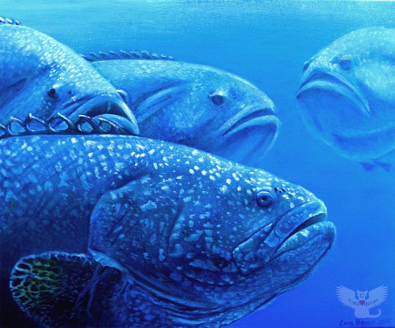 783x651 Aquatic Gallery, Acrylic Sealife Paintings By Cara Bevan - Aquatic Painting