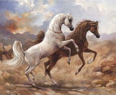 235x192 388 Best Arabian Horses In Art Images On Equine Art - Arabian Horse Painting