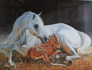 323x245 Arabian Horse Art Collection Up For Auction - Arabian Horse Painting