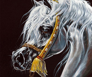 300x250 Equine Artists Arabian Horses, Stallions, Farms, Arabians, - Arabian Horse Painting