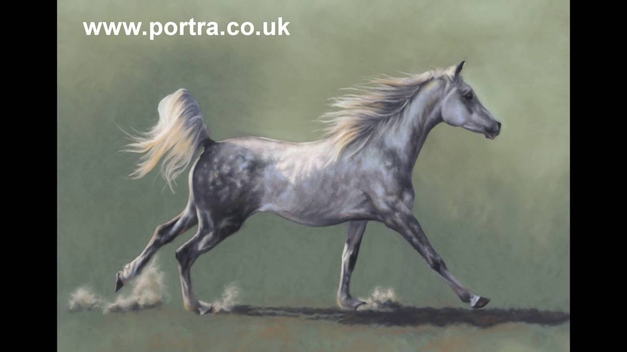 1280x720 Speed Painting Grey Arabian Horse In Pastel - Arabian Horse Painting