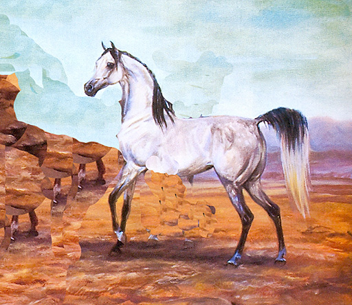 512x444 The Arabian Horse - Arabian Horse Painting