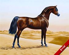 225x180 Arabian Horse Art Ebay - Arabian Horse Painting