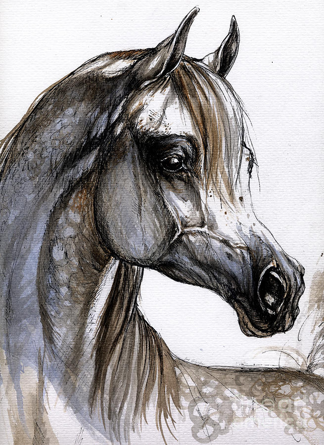 655x900 Arabian Horse Painting By Angel Ciesniarska - Arabian Horse Painting
