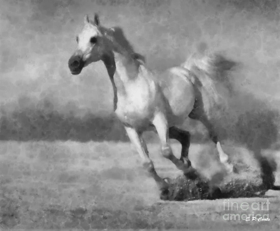 900x744 Arabian Horse Painting By Elizabeth Coats - Arabian Horse Painting