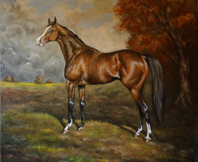 650x532 Arabian Horse By Birgit Schnapp - Arabian Horse Painting
