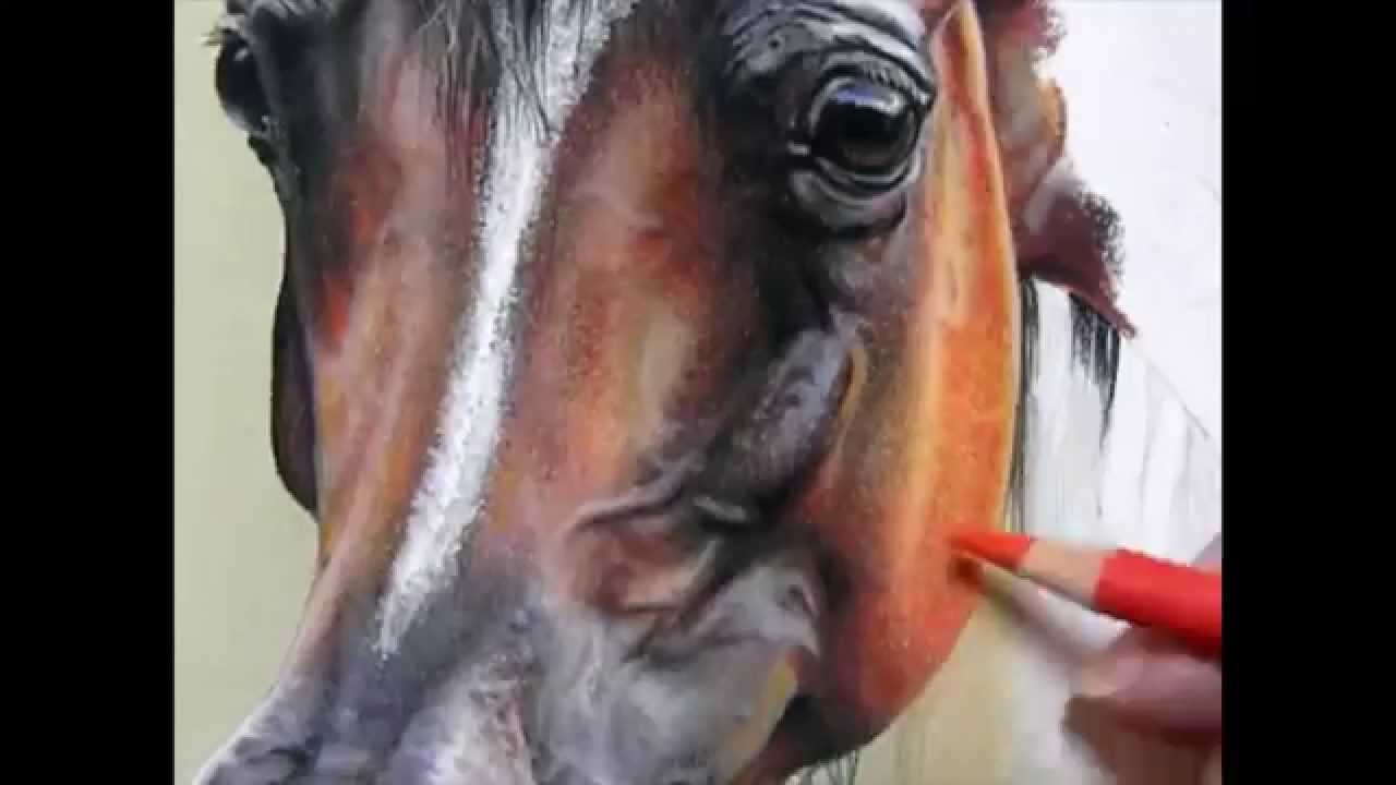1280x720 Pastel Painting Demonstration Arabian Horse By Roberta Roby Baer - Arabian Painting