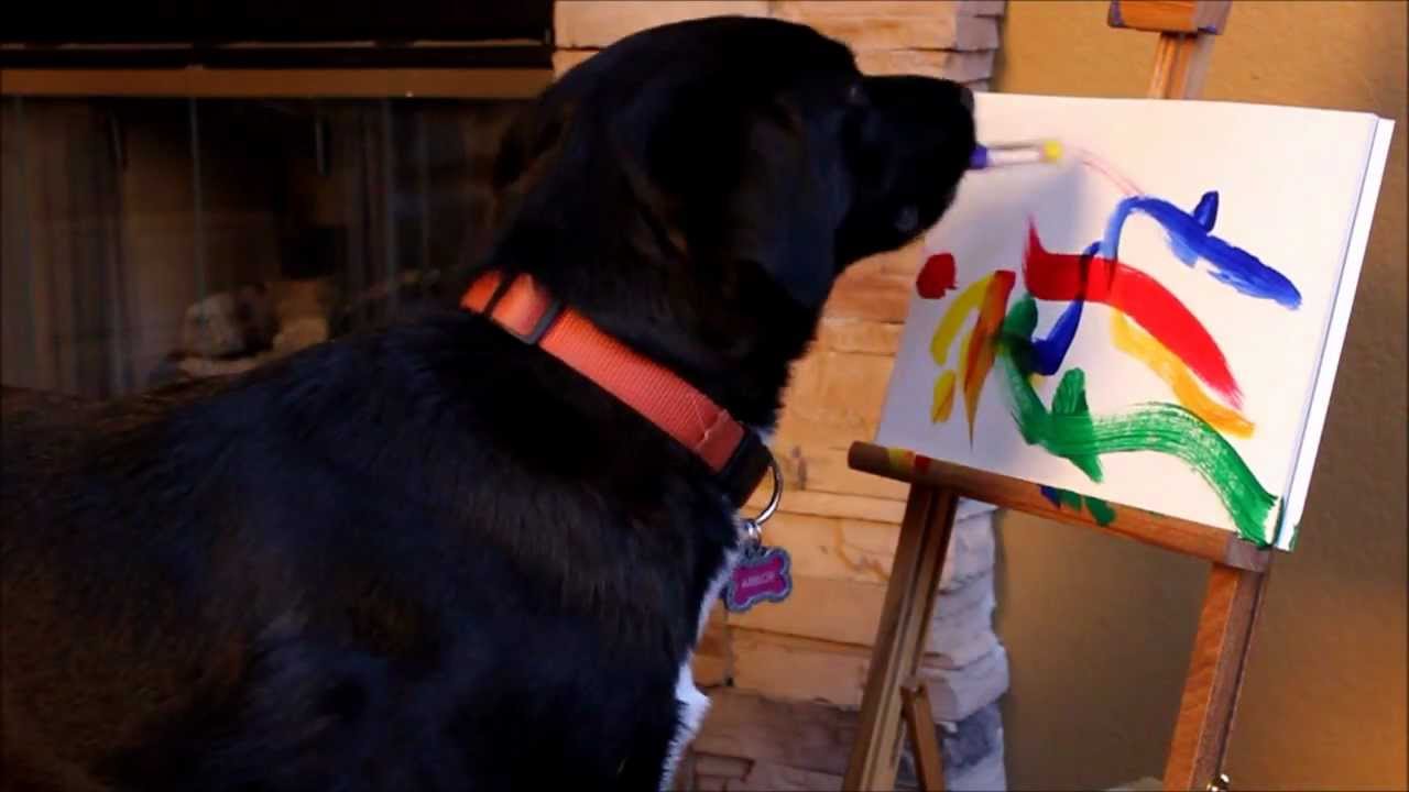 1280x720 Arbor The Dog Paints Another Amazing Masterpiece As Seen On Gma - Arbor The Painting Dog