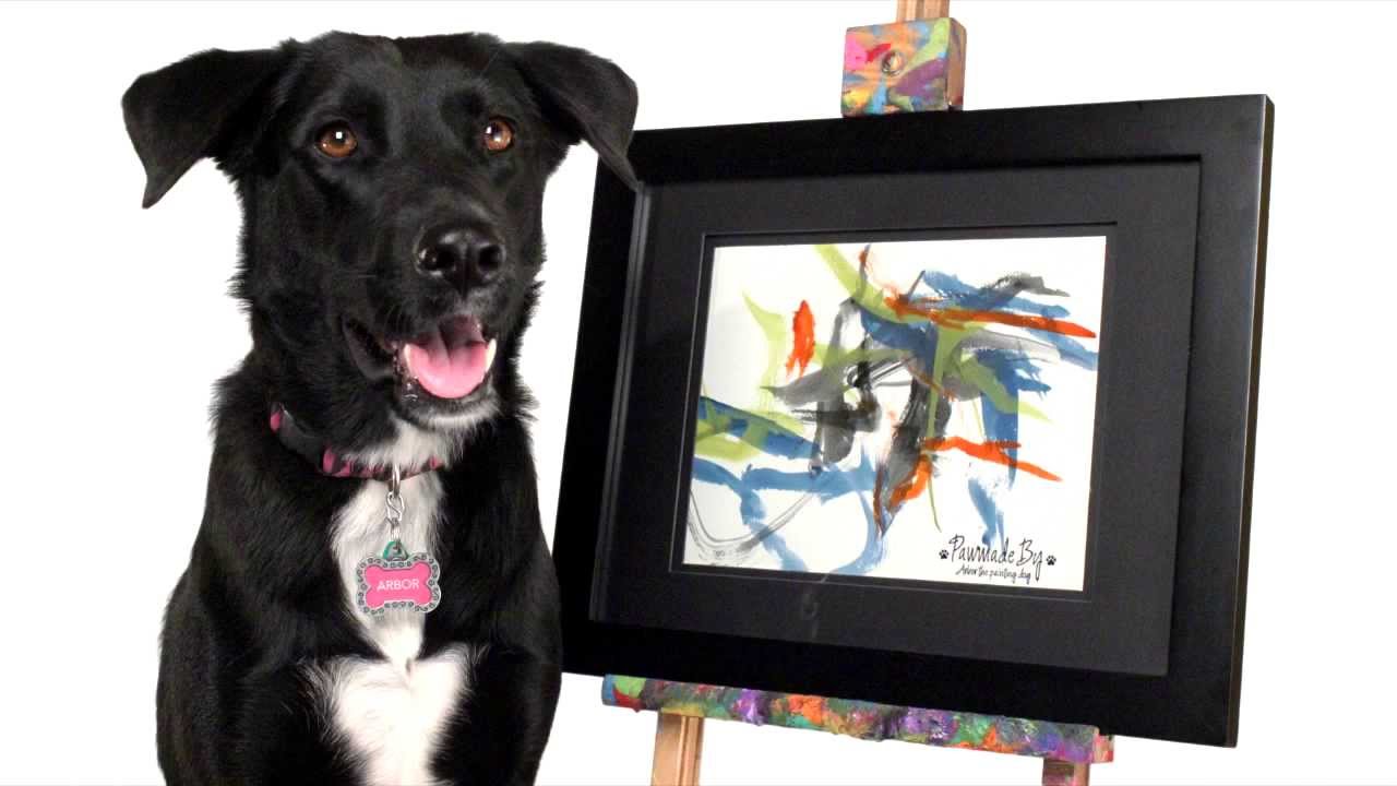 1280x720 Arbor The Painting Dog's Tribute To The Oklahoma Tornado Victims - Arbor The Painting Dog