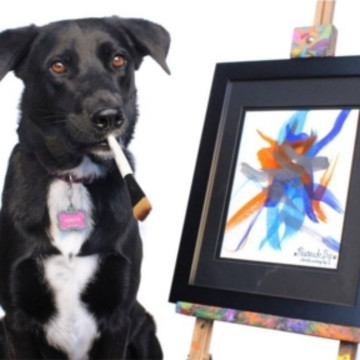 360x360 Arbor The Painting Dog On Talenthouse - Arbor The Painting Dog