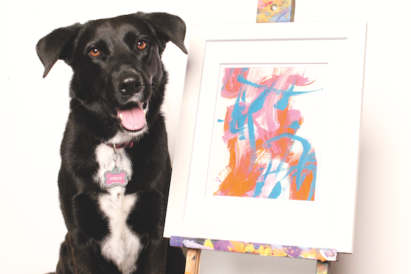 600x400 Arbor The Pooch Picasso Paints Abstracts To Help Dogs In Need - Arbor The Painting Dog