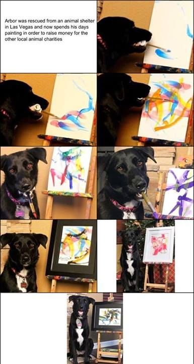 385x720 Arbor Was Rescued From An Animal Shelter In Las Vegas And Now - Arbor The Painting Dog
