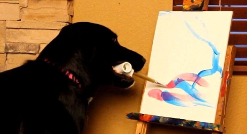 500x272 Beauty Will Save, Viola, Beauty In Everything - Arbor The Painting Dog