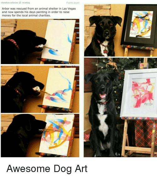 500x566 Chewbaccalarian Seasiag Fuente Poyzn Arbor Was Rescued - Arbor The Painting Dog