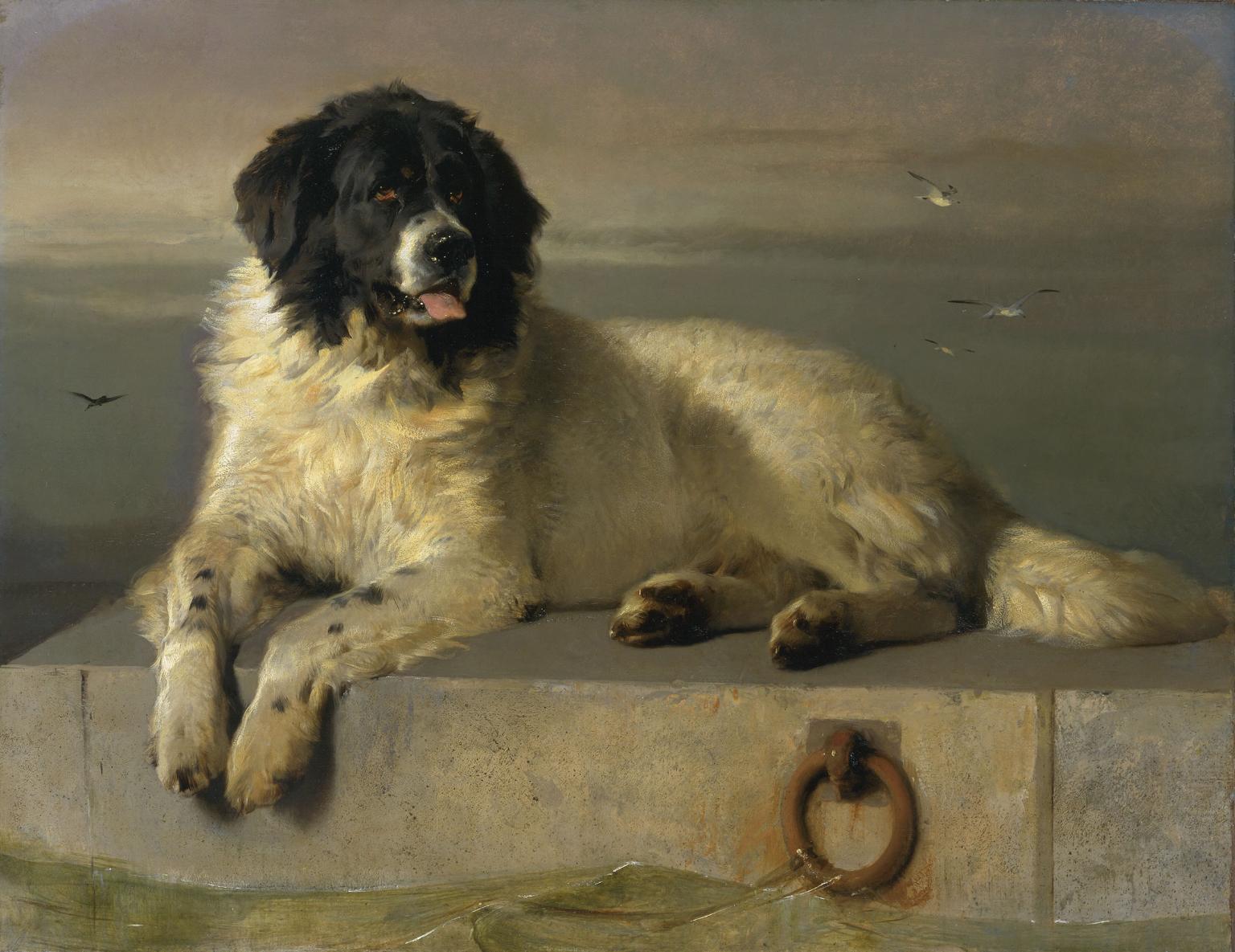 1536x1185 Dog - Arbor The Painting Dog