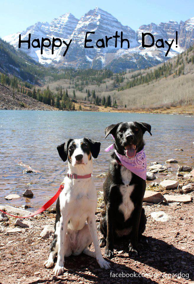 656x960 Jetset Mag A New Picasso Raises Awareness About Gas Chambers - Arbor The Painting Dog