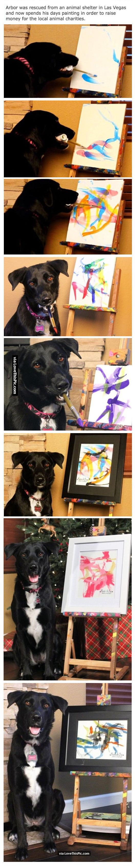 527x3383 Meet Arbor The Painting Dog Pictures, Photos, And Images - Arbor The Painting Dog