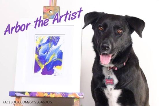 550x367 Pets That Paint Dogs Pet Pet And Dog - Arbor The Painting Dog