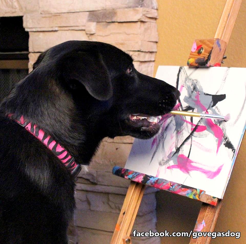 960x952 Rescue Dog Now Raises Money For Other Shelter Dogs With Her Paintings - Arbor The Painting Dog