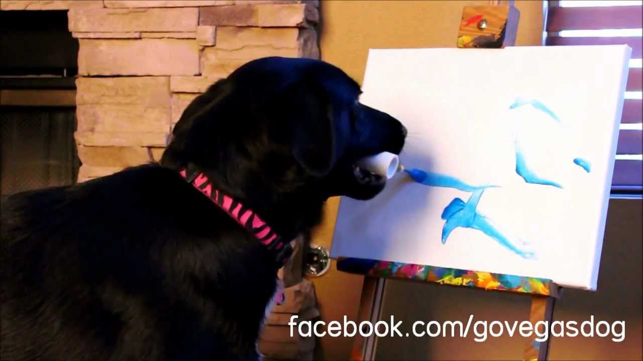 1280x720 Arbor The Amazing Painting Dog Holds Benefit Auction For Dog - Arbor The Painting Dog