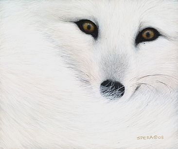 366x307 Image - Arctic Fox Painting