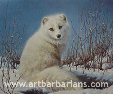 375x312 Wildlife Art Prints Plus Original Paintings With A Wide Selection - Arctic Fox Painting