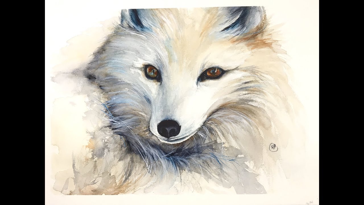 1280x720 Winter Fox In Watercolors Painting Tutorial - Arctic Fox Painting
