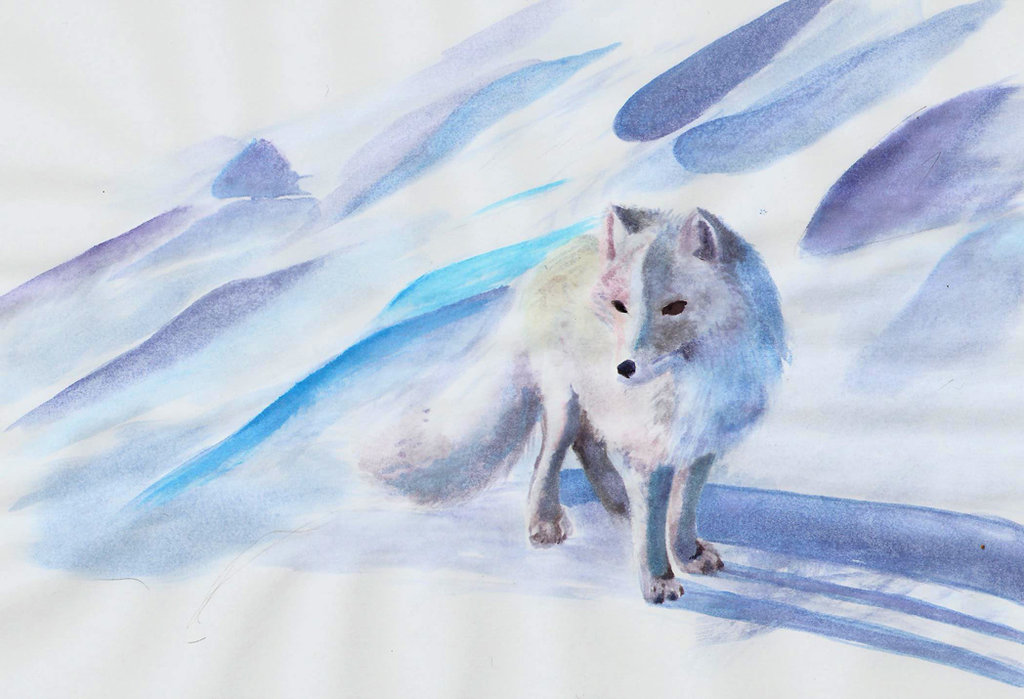 Arctic Fox Painting at PaintingValley.com | Explore collection of ...